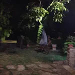 La Casa Delle Rondini 3*
