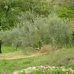 La Casa Delle Rondini