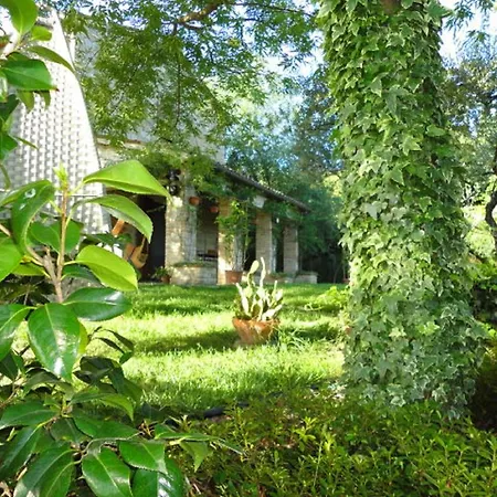 La Casa Delle Rondini