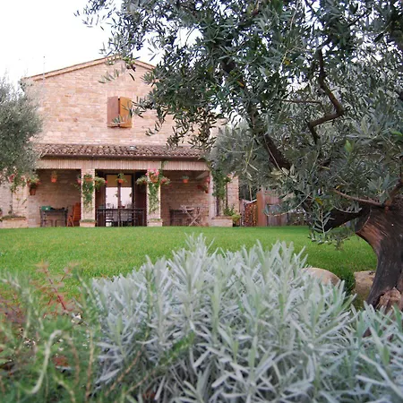 La Casa Delle Rondini 3* Staffolo