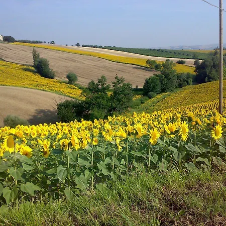 La Casa Delle Rondini