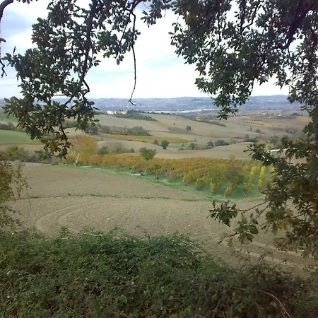 La Casa Delle Rondini Staffolo