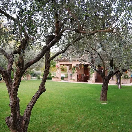 La Casa Delle Rondini