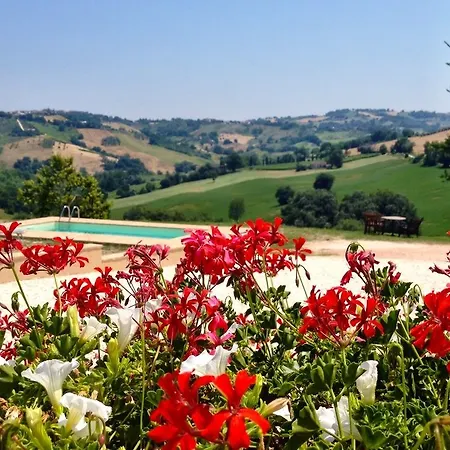 Bed & Breakfast La Casa Delle Rondini